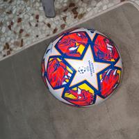 Pallone champions league