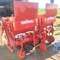 Sarchio Gaspardo 4-6 file