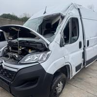 Motore sigla 4h03 2023