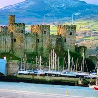 Inglese B2 - Grammatica e Corso