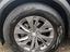 Immagine 7