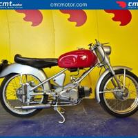 RUMI 125 Sport Finanziabile - ROSSO GRIGIO - 524