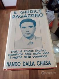 IL GIUDICE RAGAZZINO