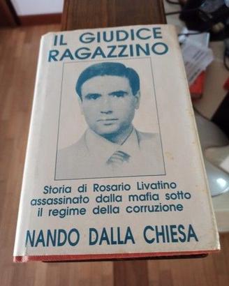 IL GIUDICE RAGAZZINO
