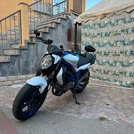 Suzuki gladius 650 A2