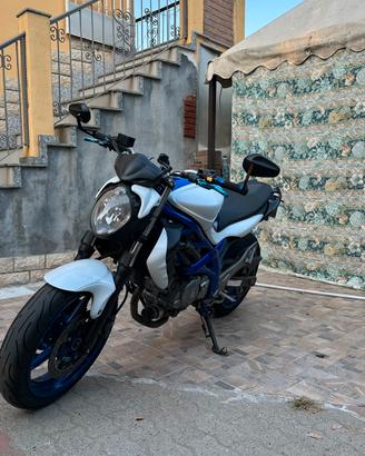 Suzuki gladius 650 A2