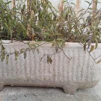 Vaso in cemento bianco