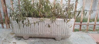 Vaso in cemento bianco