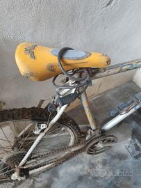 Bici Bianchi