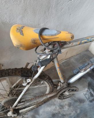 Bici Bianchi