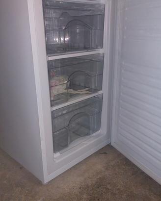 congelatore / freezer
