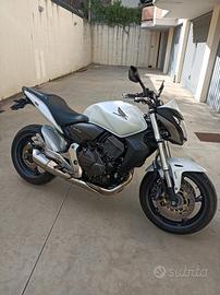 Hornet 600 abs