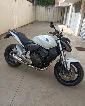 Hornet 600 abs