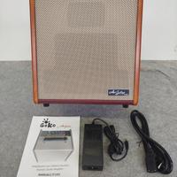 Amplificatore per chitarra acustica di qualità 