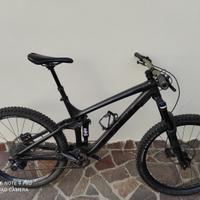 Trek Remedy Tg. L