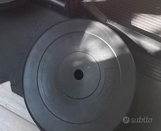 2 Dischi da 15 kg
