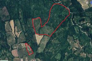 Terreno nel cuore della Maremma (località Cana)