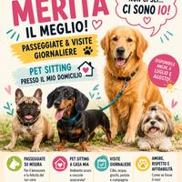Passeggiate cani e pet sitter