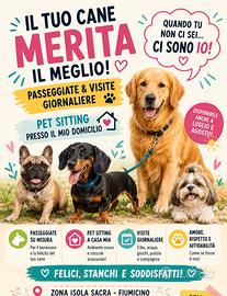 Passeggiate cani e pet sitter