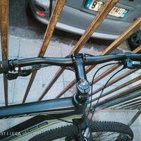 Mountain Bike Adriatica 