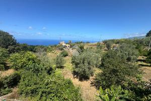 CASA INDIPENDENTE A AMANTEA