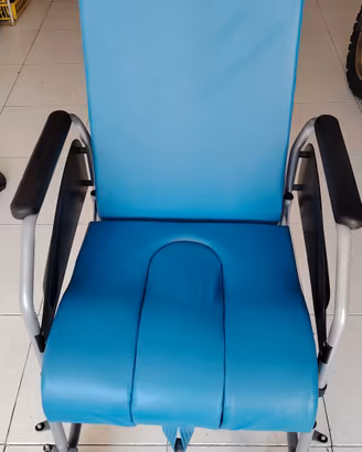 sedia a rotelle disabili