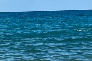 Piano terra roseto settembre