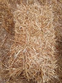 ballette di foraggio di qualità 