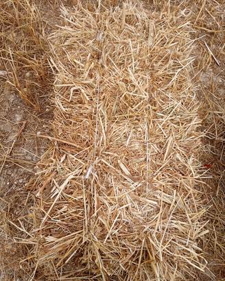 ballette di foraggio di qualità 