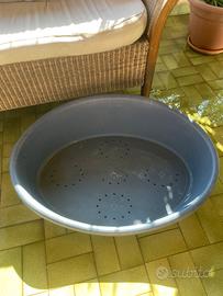 Cuccia ovale