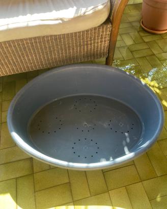 Cuccia ovale