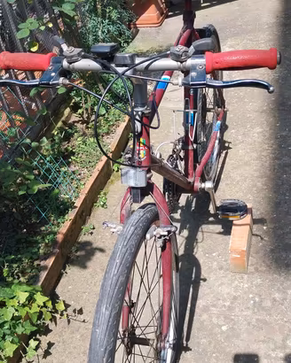 Mountain Bike