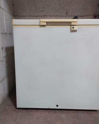 congelatore ignis