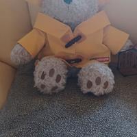 Peluche Paddington originale