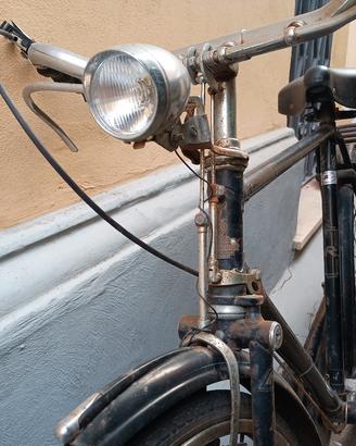 Raleigh sport