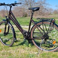 Bici da trekking Bergamont Horizon 3 Amsterdam