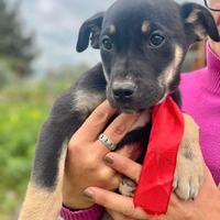 Piccolini morbidi,teneri colorati