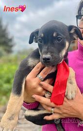 Piccolini morbidi,teneri colorati