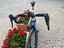 Immagine 6
