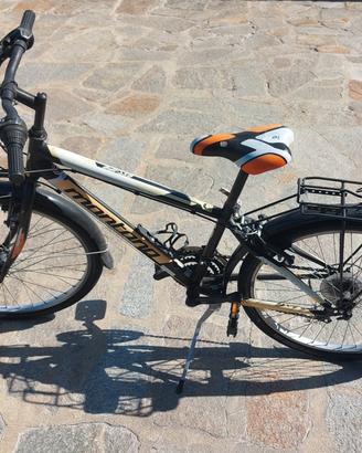 bicicletta 24 pollici