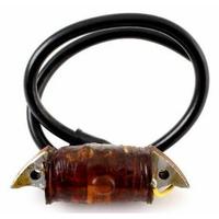 Bobina AT 20 Bianchi Franco Morini