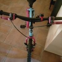 Bicicletta bambina