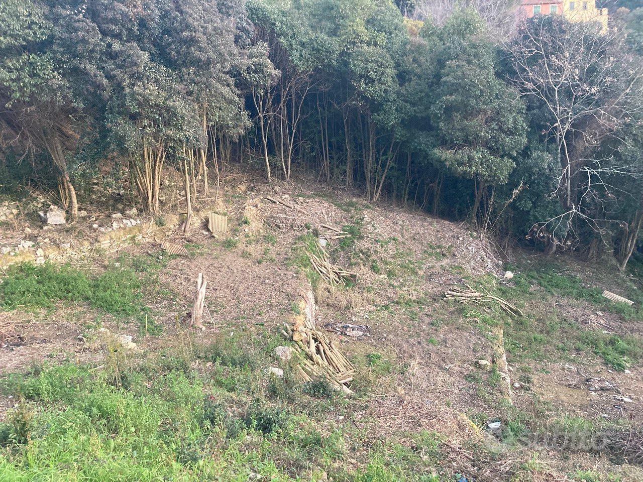 Terreno agricolo con vista mare - Vista 5