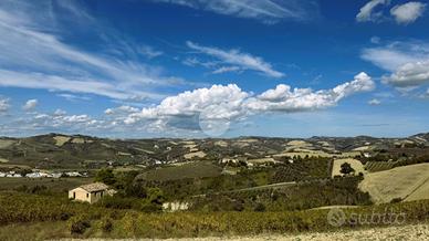 RUSTICO A OFFIDA