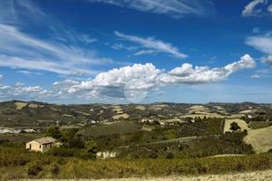 RUSTICO A OFFIDA