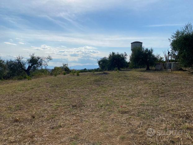 Terreno edificabile - Mosciano Sant'Angelo