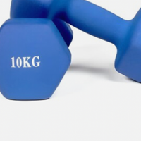 Manubrio palestra da 10 kg