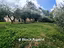 Immagine 11