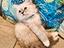 Immagine 2