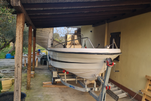 Barca motore e carrello